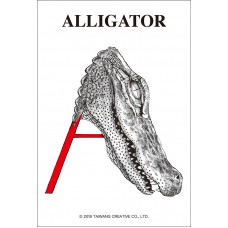 A－鱷魚拼圖