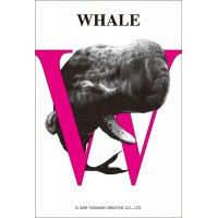 W－鯨魚拼圖