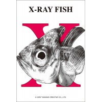 X－金魚拼圖