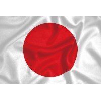 日本國旗拼圖