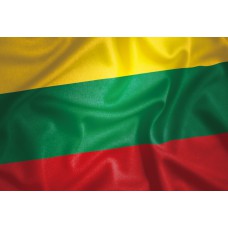 立陶宛國旗拼圖