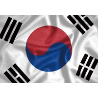 韓國國旗拼圖
