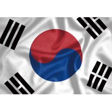 韓國國旗拼圖